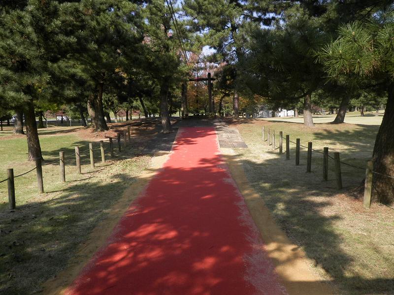 常願寺川公園ターザンロープ（ロープウェイ）の画像