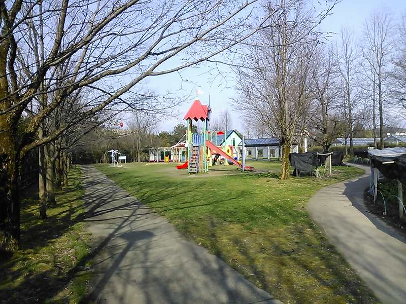 チューリップ公園遊具点検の画像