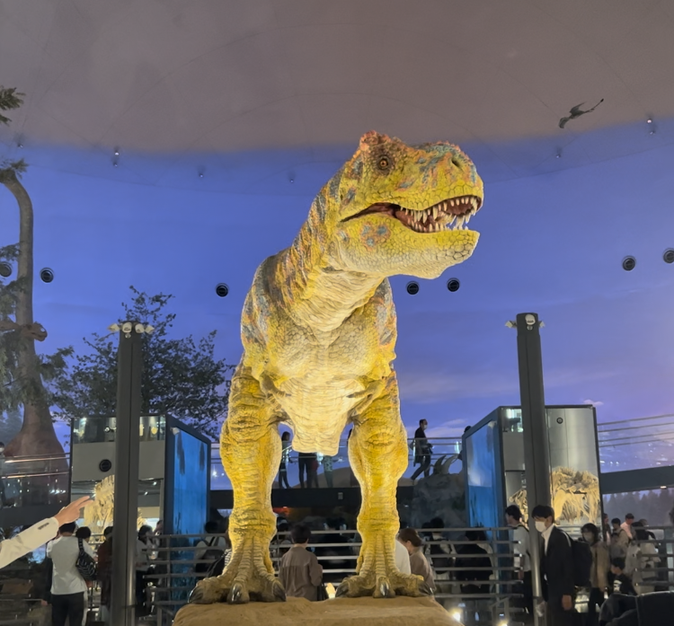 恐竜博物館に行ってきました！🦕の画像