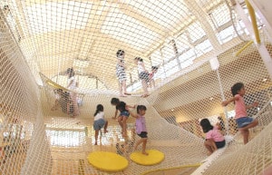 椙山女学園幼稚園室内ネット