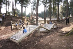 d5d8fad82ea22bdd105ad83899333ad2