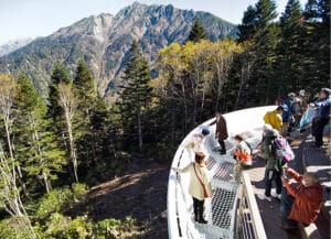 8d7d8cf652f9e10fa6fc6edd93738b24