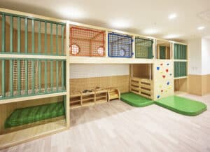 d81b785c9d354bddef3fa235dda1fd97