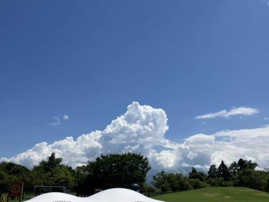 公園の空
