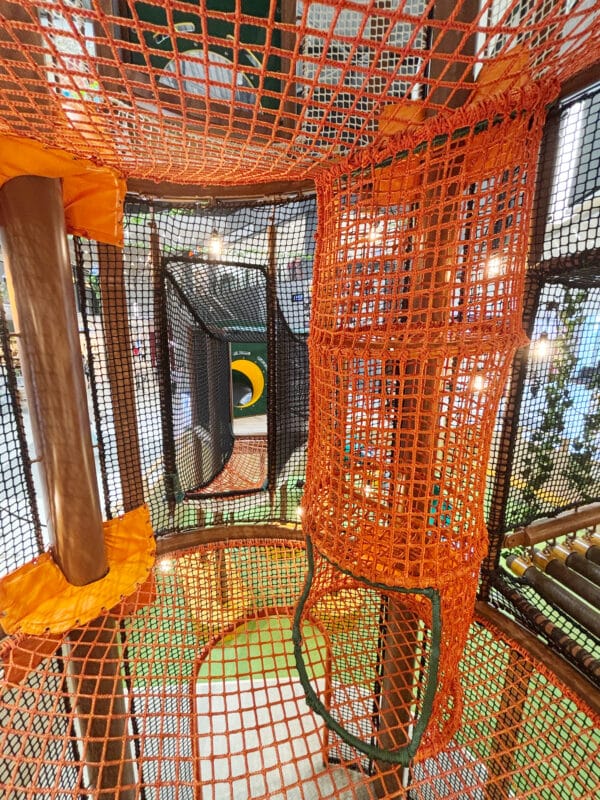 イオンモール木更津 こども遊戯施設 ＫＩＳＡＲＡＺＵＦＯＲＥＳＴ